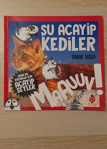 Kucukler icin su acayip kediler