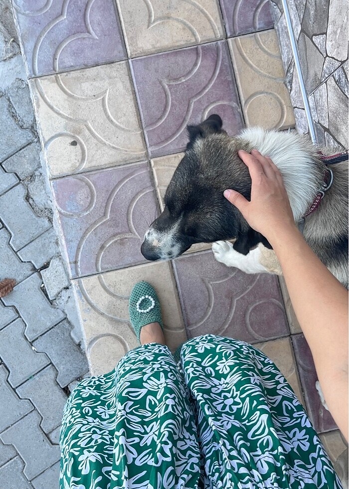 İkili takım etek - Görsel 2