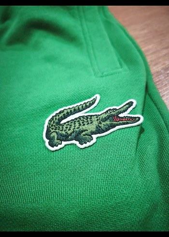 Lacoste l