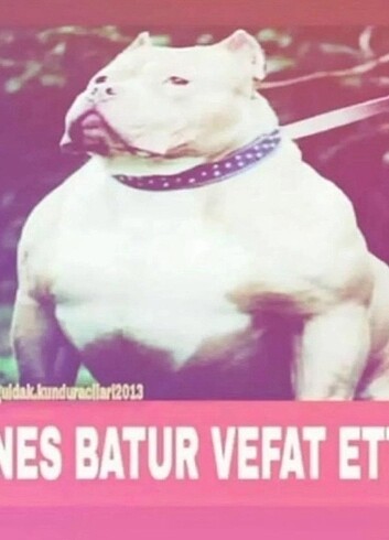 Enes batur Vefat etti