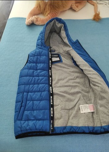 Kapüşonlu Fermuarlı Erkek Çocuk Yeleği - Görsel 3