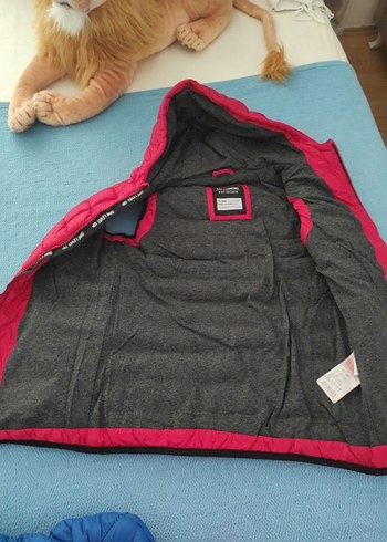 Kız Çocuk Kapüşonlu Fermuarlı Yelek - Görsel 2