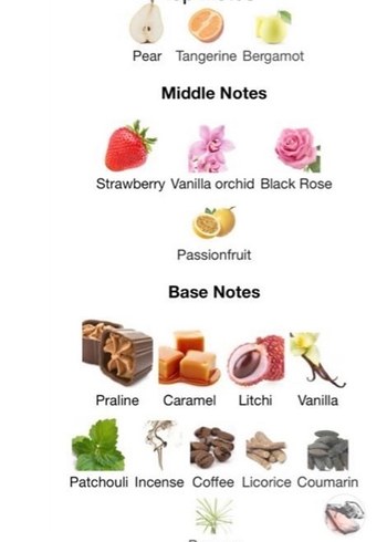 Beliga Kadın Parfümü la nuit treso - Görsel 5