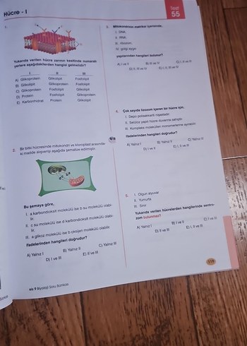 9. Sınıf Biyoloji Soru Bankası - EIS Yayınları - Görsel 4