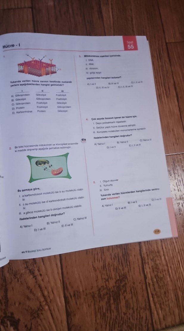 9. Sınıf Biyoloji Soru Bankası - EIS Yayınları - Görsel 4