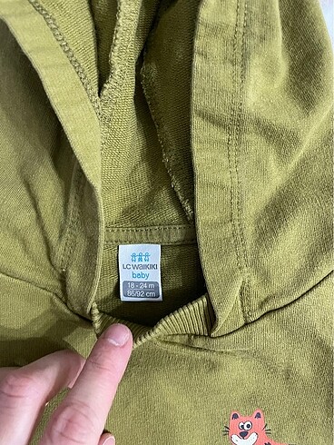 LC Waikiki Lcw marka kapşonlu sweat