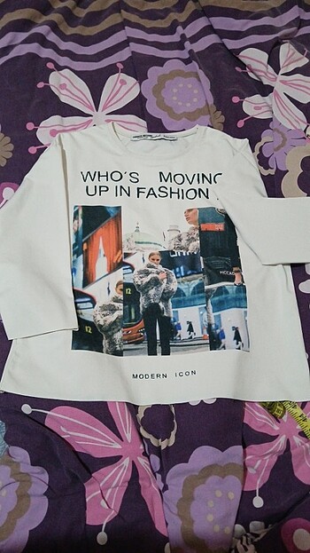 m Beden çeşitli Renk T-shirt kadin