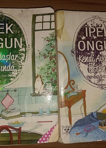 İpek ongun 2-3 bir genç kızın gizli defteri 