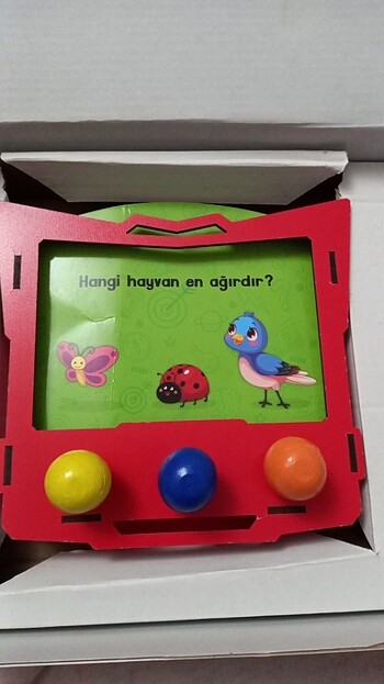  Beden Zeka kutusu