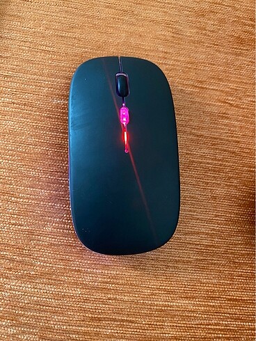 Mouse