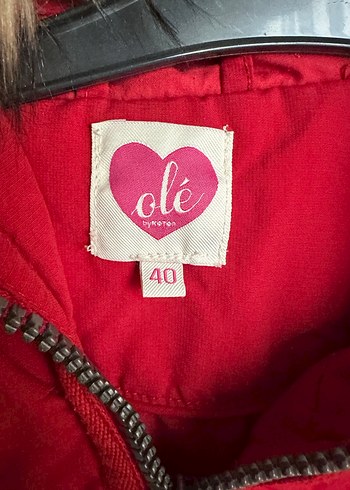 Kırmızı Fermuarlı Kadın Ceket - Görsel 3