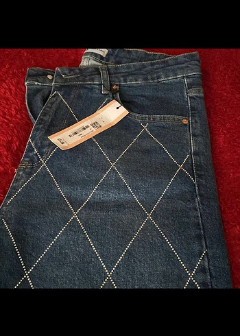 Nakış Detaylı Kemerli Gri Kadın Kot Pantolon - Görsel 4