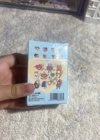 Stray Kids pc