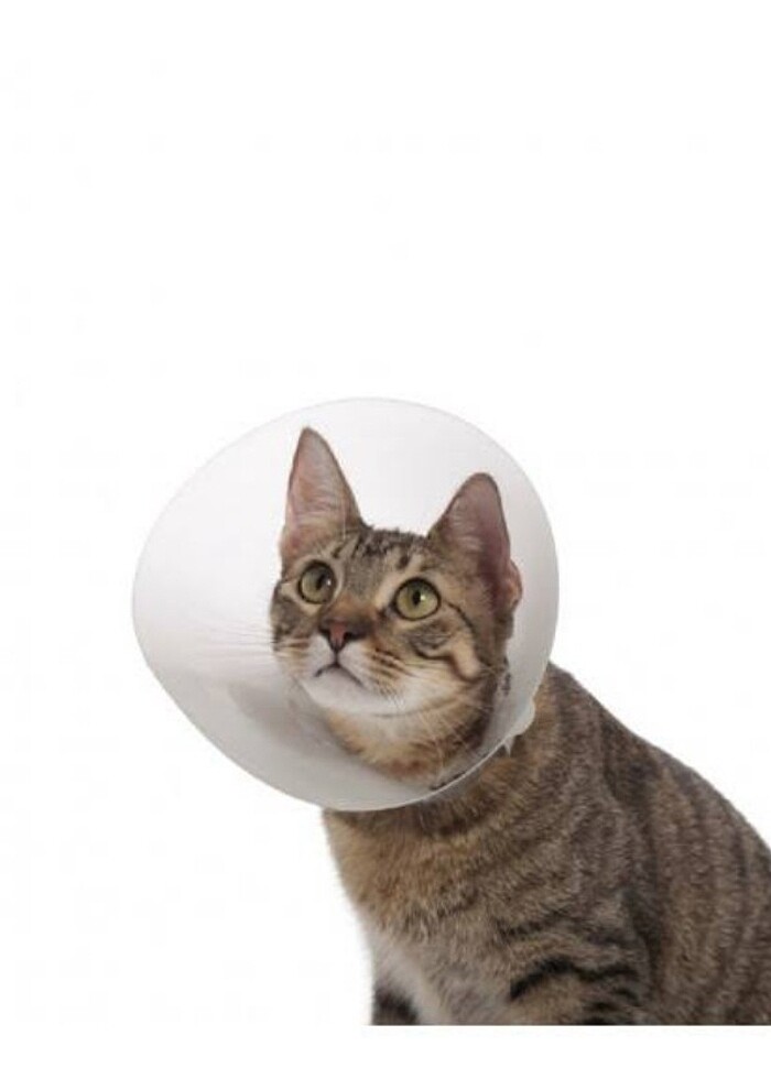 Kedi köpek Yakalık  - Görsel 2