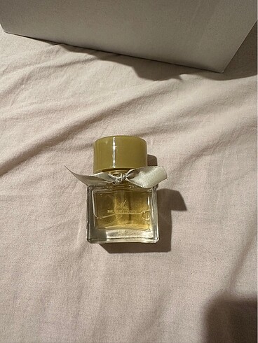 MY BURBERRY