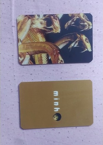  minho fanmade pc