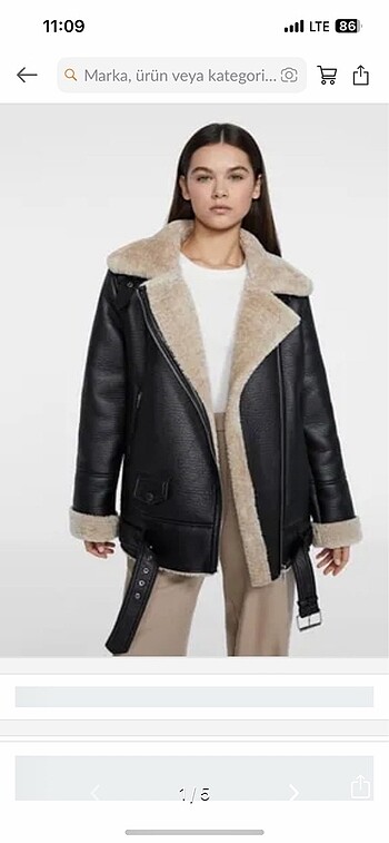 Stradivarius mont