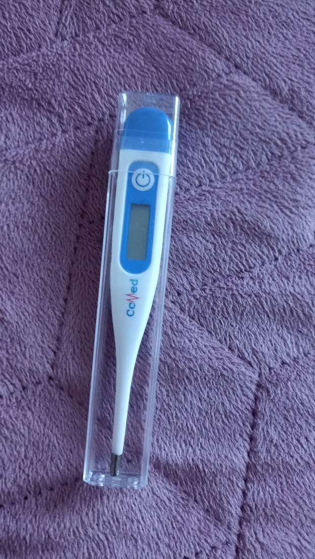 Renkli Dijital Termometre Kılıflı - Görsel 2