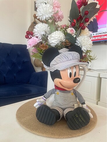 Beden Micky