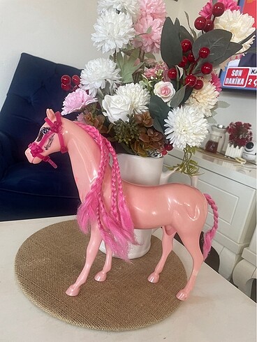 Beden Barbie atı
