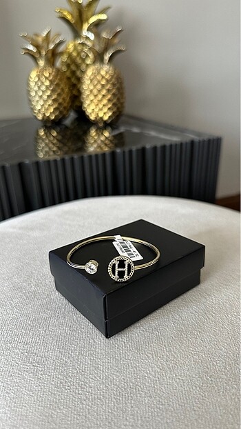 Hermes Hermes model