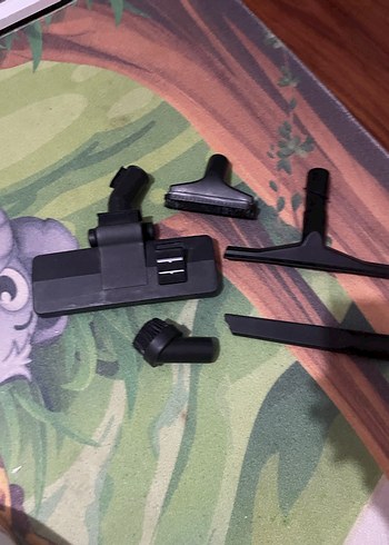 Arnica bora - Görsel 2