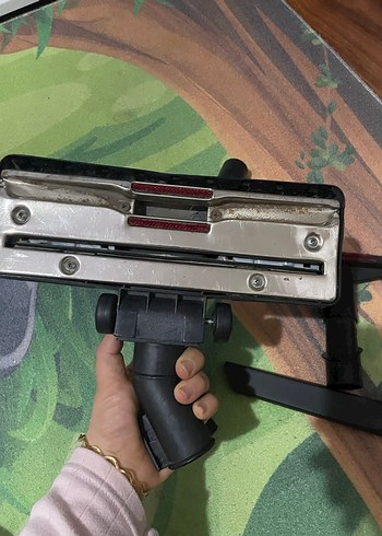 Arnica bora - Görsel 6