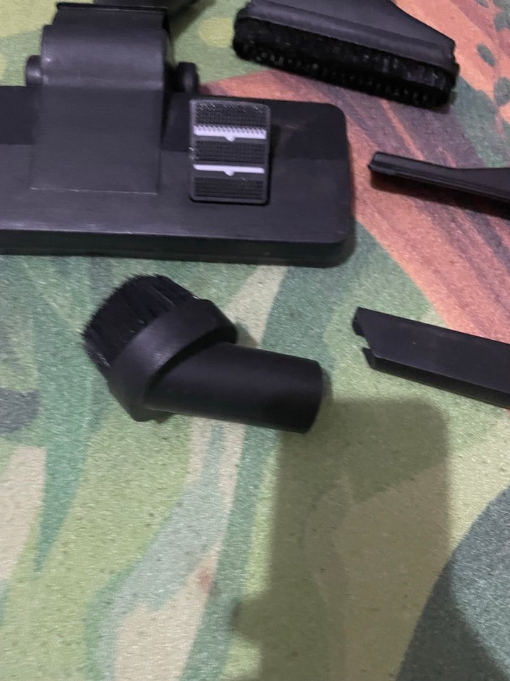 Arnica bora - Görsel 3