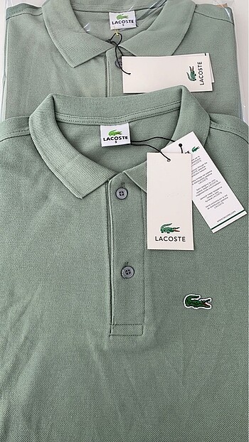 Lacoste Polo yaka tişört