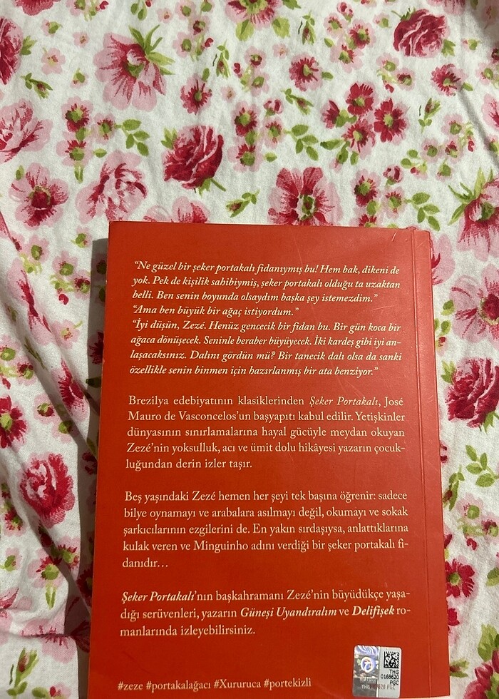 Şeker Portakalı - Görsel 2