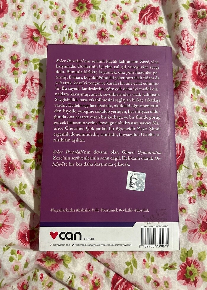 Güneşi uyandıralım - Görsel 2