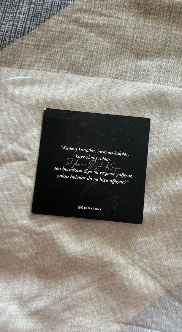 Ruh Kadehi Siyah Kuğu - Beyza Aksoy - Görsel 4