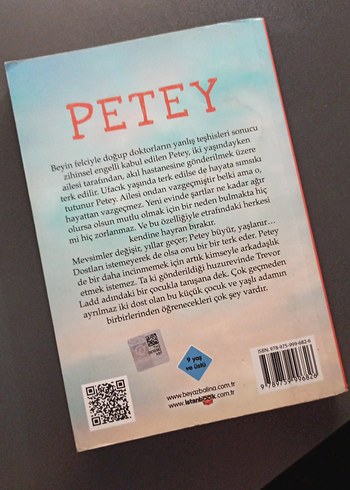 Petey - Ben Mikaelsen - Görsel 2