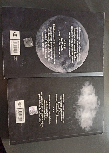 siyah kuğu serisi - Görsel 2