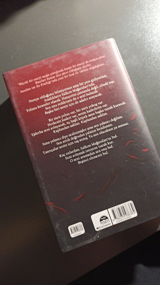 Lordlar ve Varisler - N.G. Kabal - Görsel 2