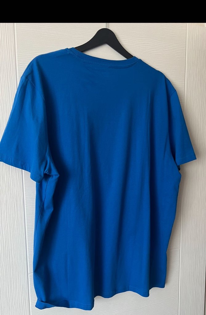 Mavi Erkek Mavi Tişört Loose Fit
Orjinal - Görsel 2