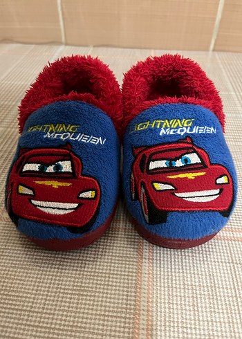 Walt Disney World 25