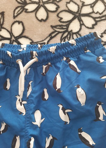 Erkek Çocuk Mavi Baskılı Şort - Görsel 2