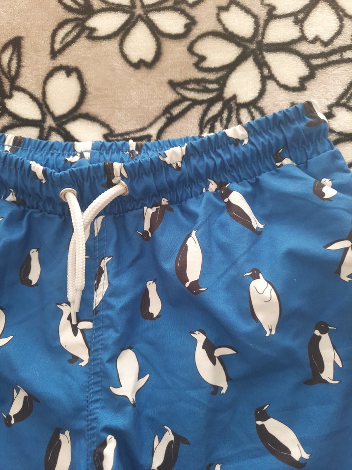 Erkek Çocuk Mavi Baskılı Şort - Görsel 2