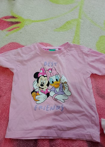 Walt Disney World Standart Beden