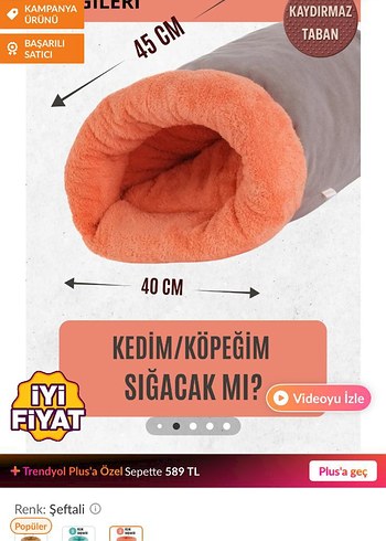 Gri Kedi Saklanma Tüneli - Görsel 2