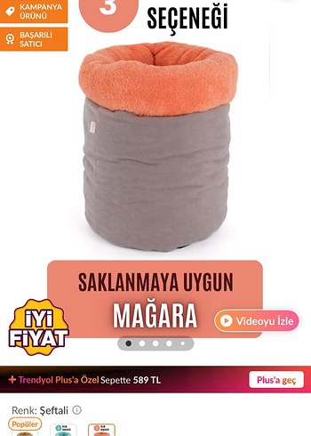 Gri Kedi Saklanma Tüneli - Görsel 3