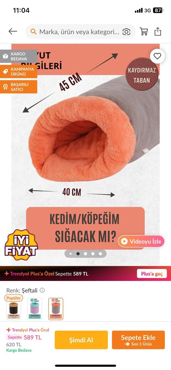 Gri Kedi Saklanma Tüneli - Görsel 2