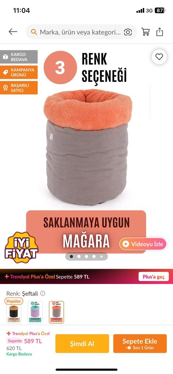 Gri Kedi Saklanma Tüneli - Görsel 3