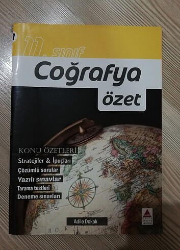 delta 11. sınıf coğrafya özet 
