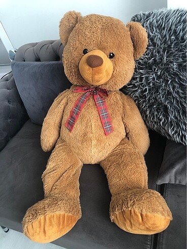 Peluş ayı