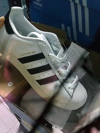Adidas superstr