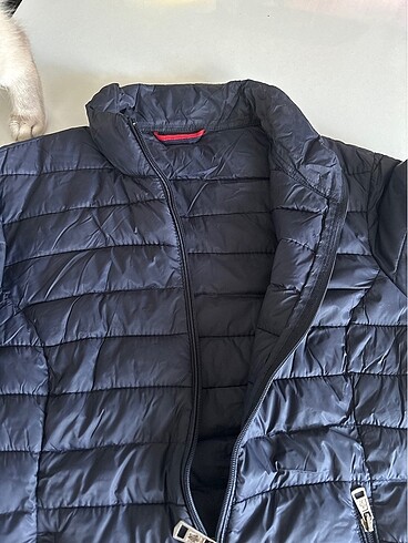 Moncler mont