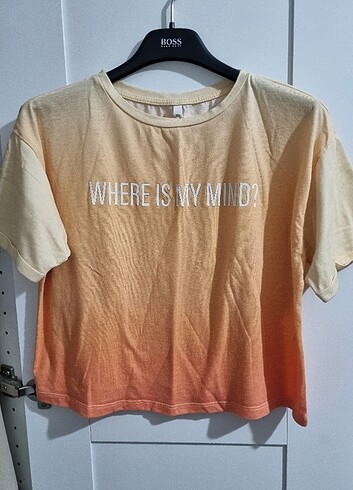  Tshirt 