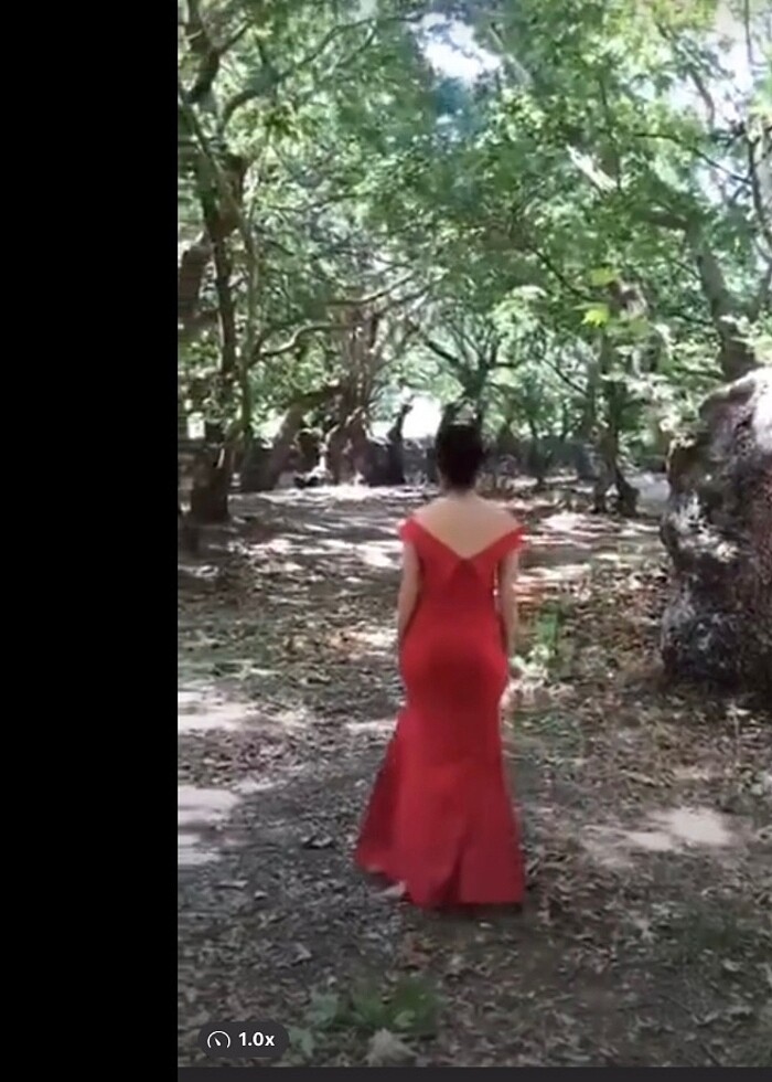 Kadın abiye - Görsel 2